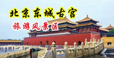 插插插插黄色视频中国北京-东城古宫旅游风景区